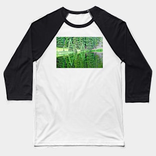 Lake Irene 12-1 Baseball T-Shirt